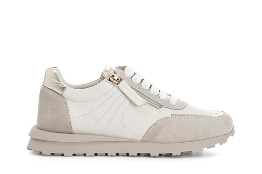 gid://shopify/Product/15782819234124_1
