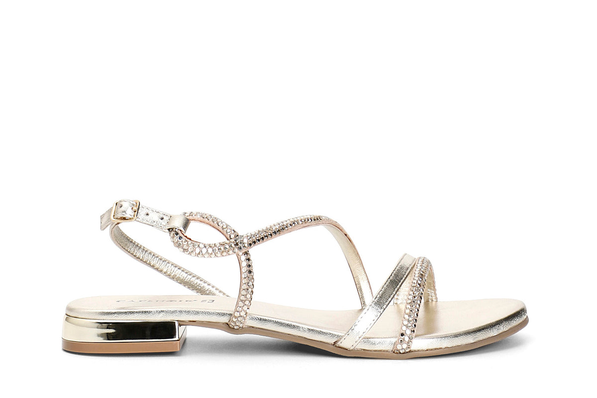 gid://shopify/Product/16175632712012_59119932703052