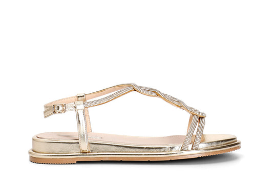 gid://shopify/Product/16121917014348_58873713066316