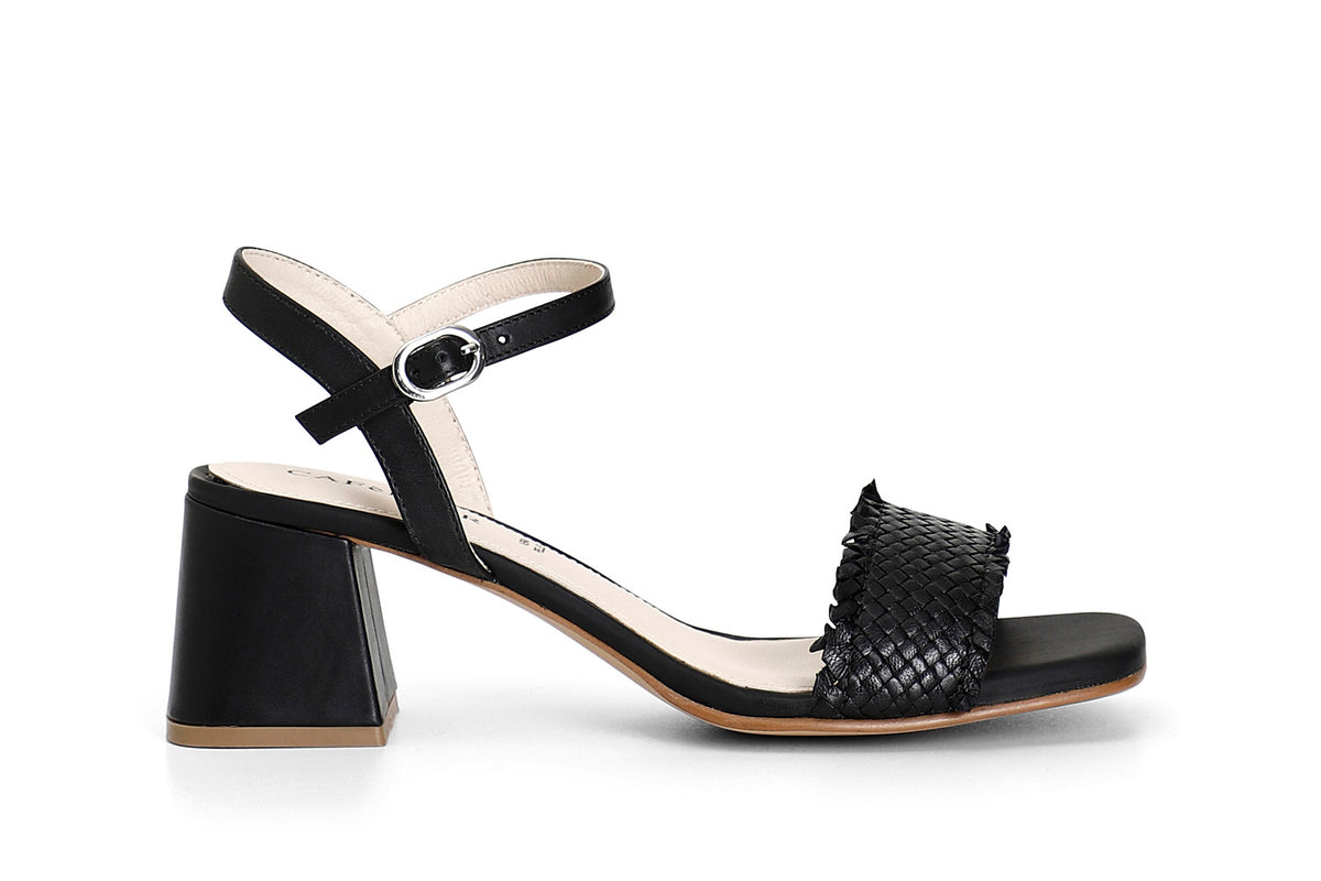 gid://shopify/Product/16121918030156_1