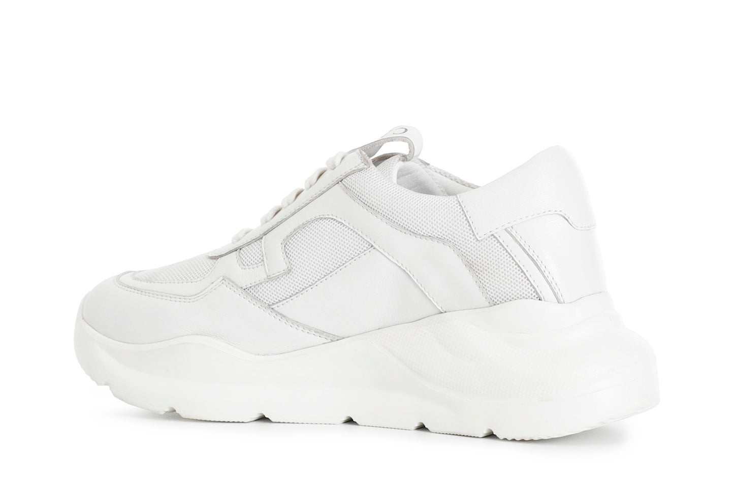 gid://shopify/Product/15783046545740_2