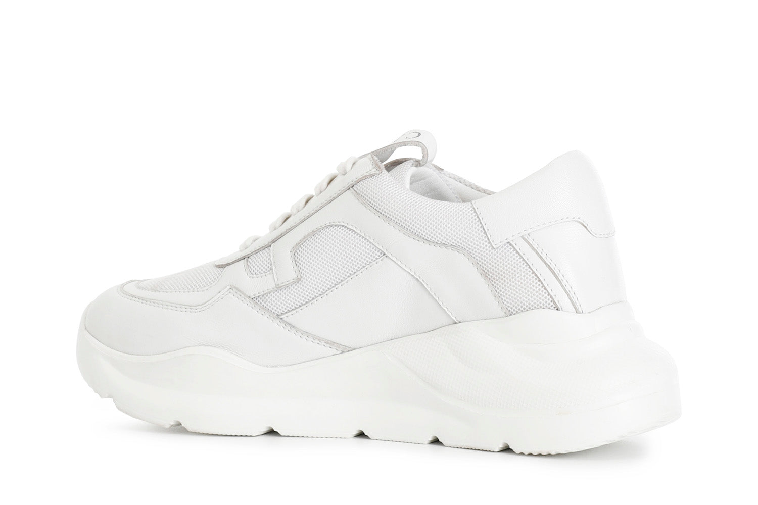 gid://shopify/Product/15783046545740_2