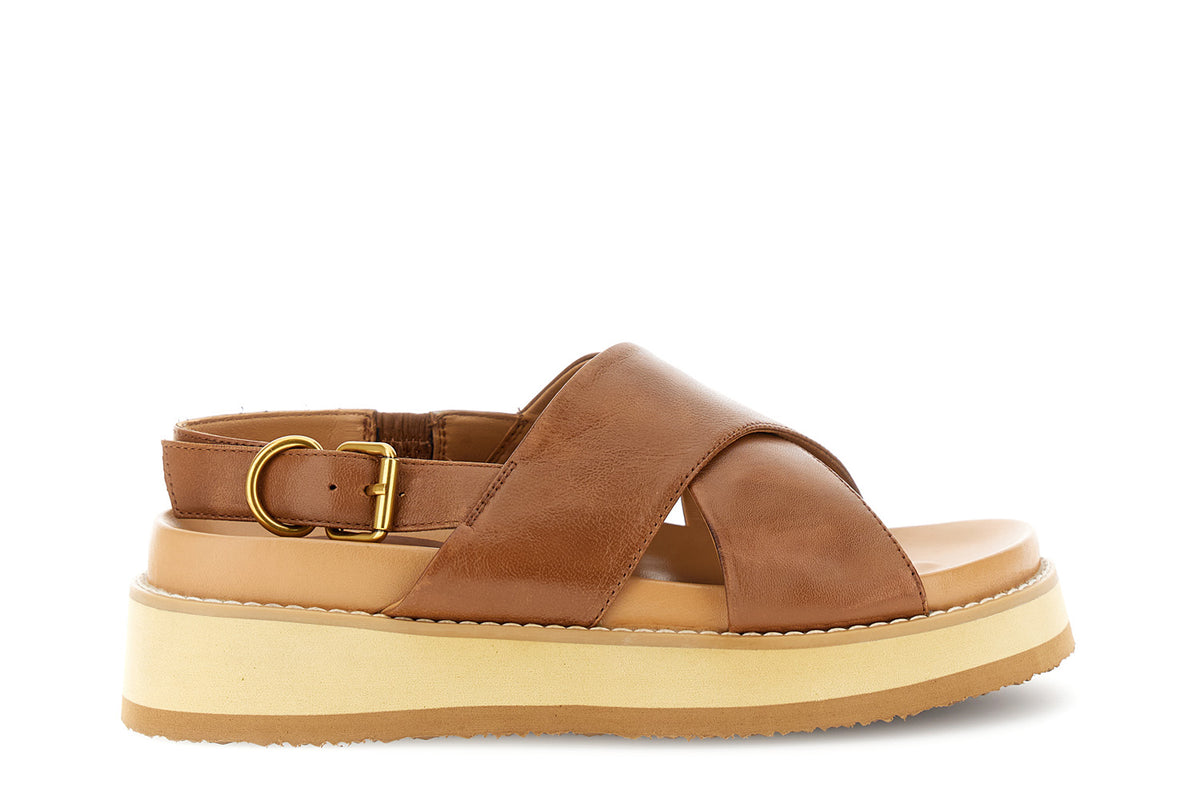 gid://shopify/Product/16122400604492_1