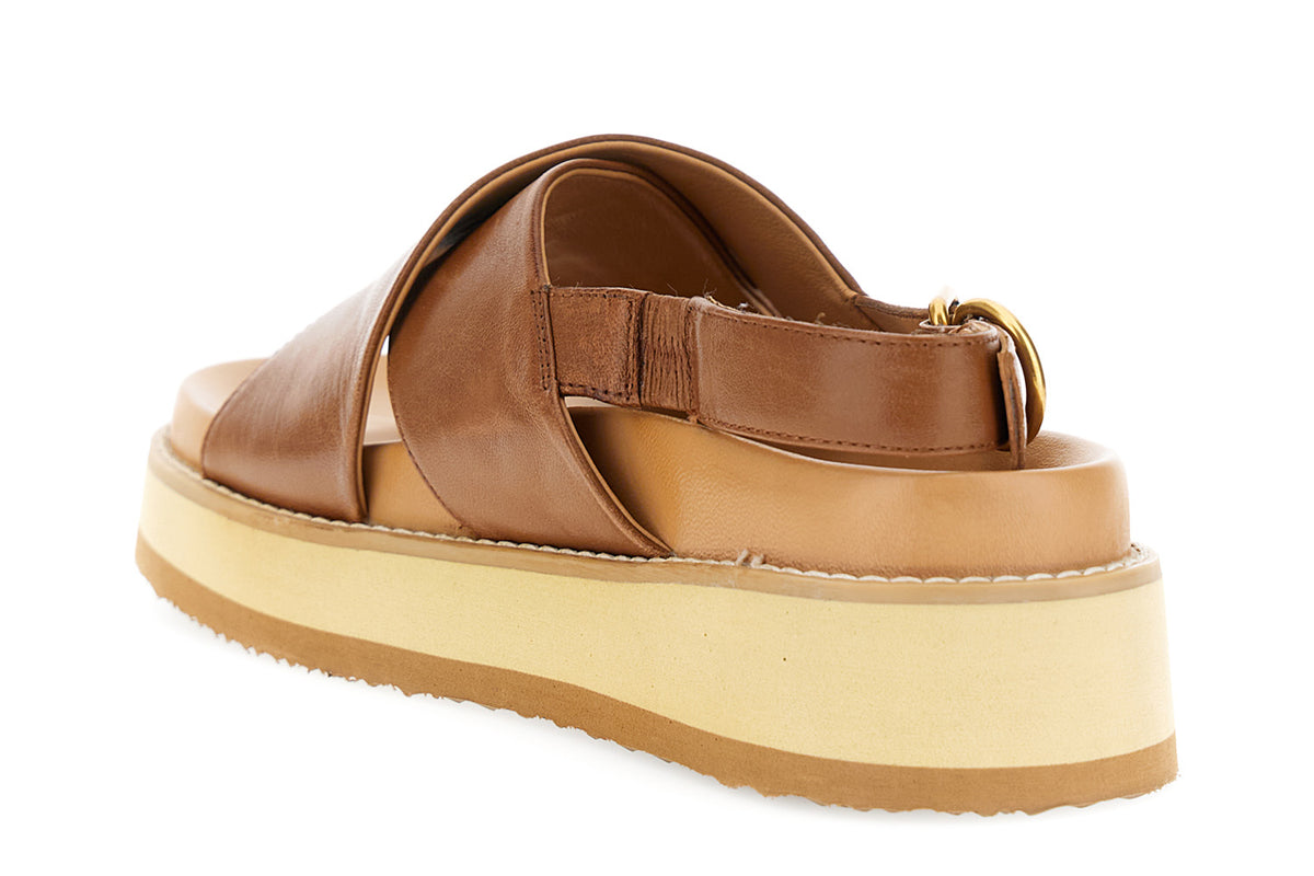 gid://shopify/Product/16122400604492_2