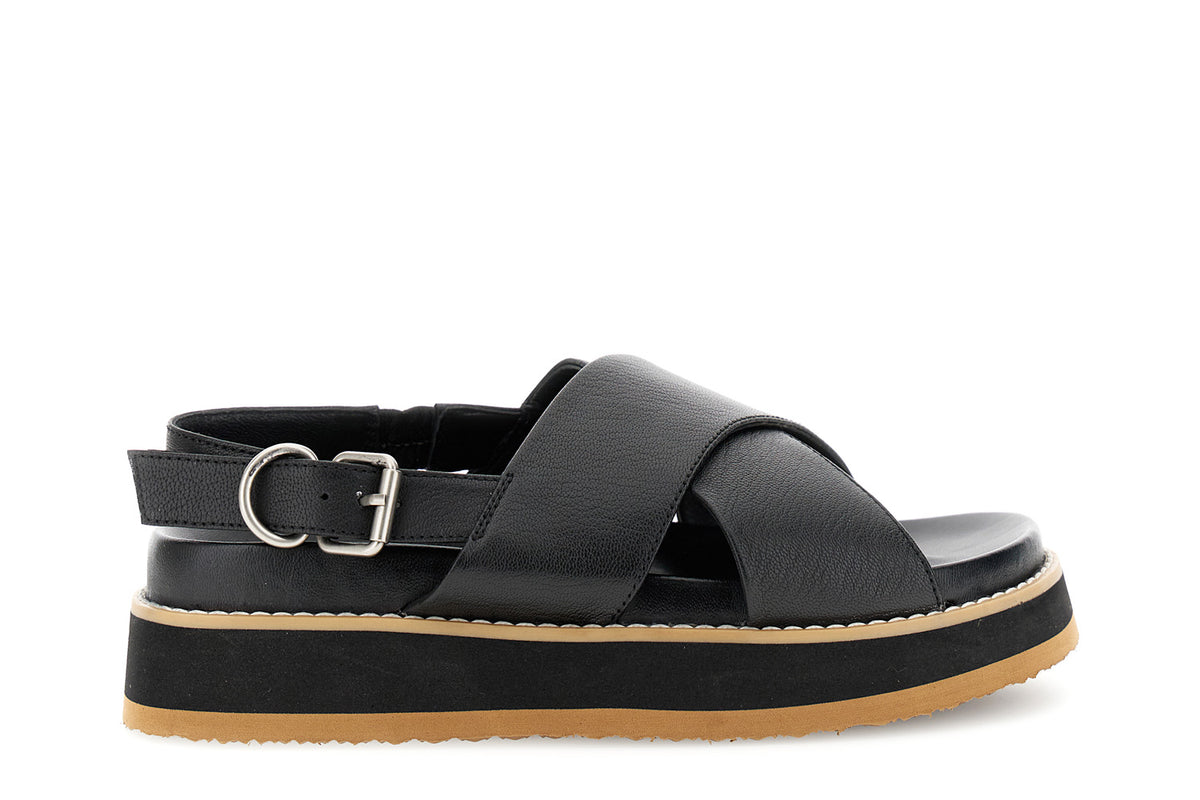 gid://shopify/Product/16122400604492_58876559098188