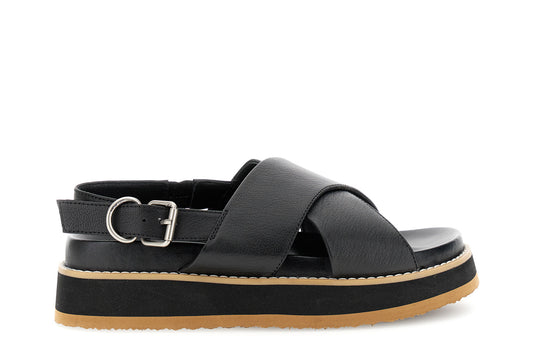 gid://shopify/Product/16122400604492_58876559098188