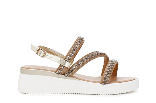 gid://shopify/Product/16034669953356_58576806740300