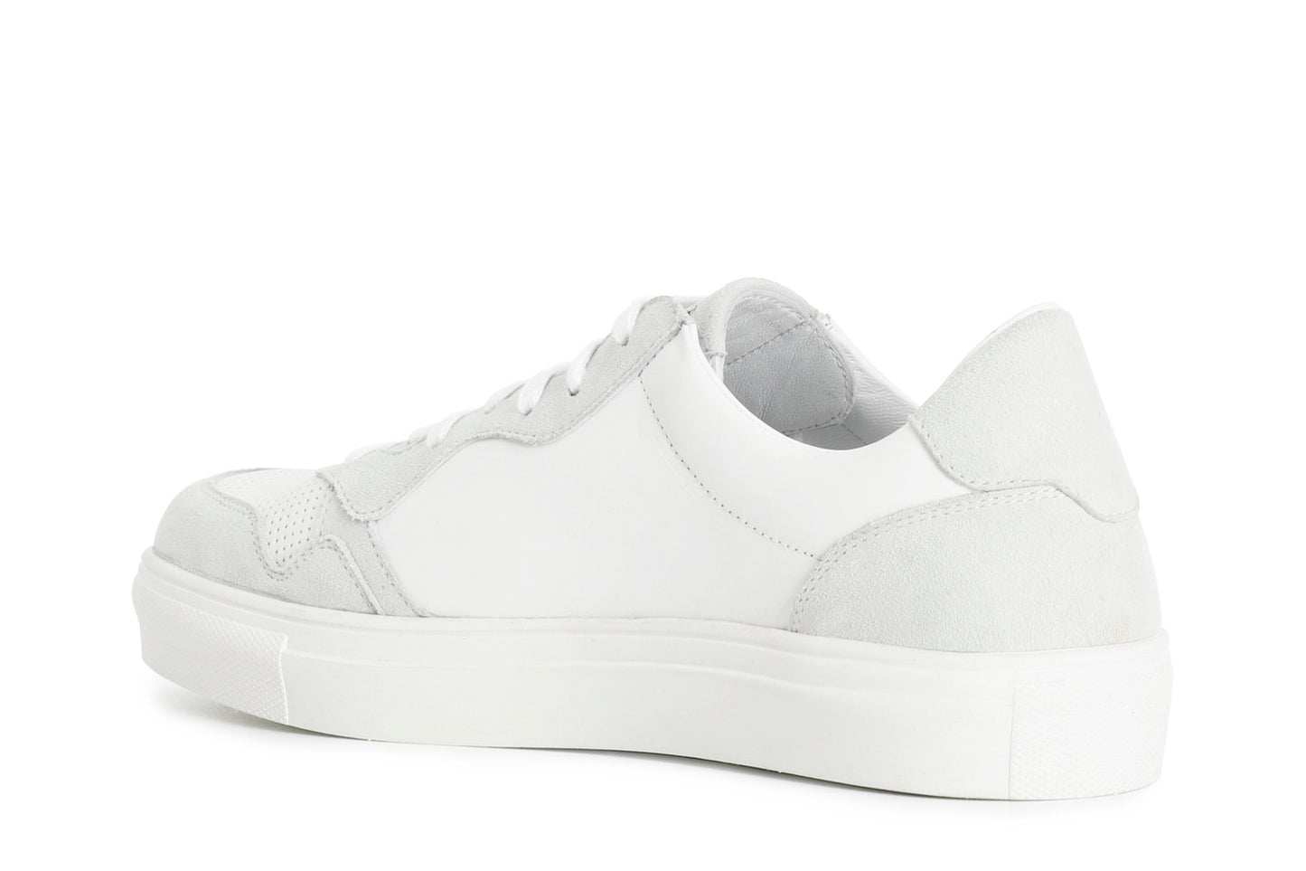 gid://shopify/Product/15783046709580_2