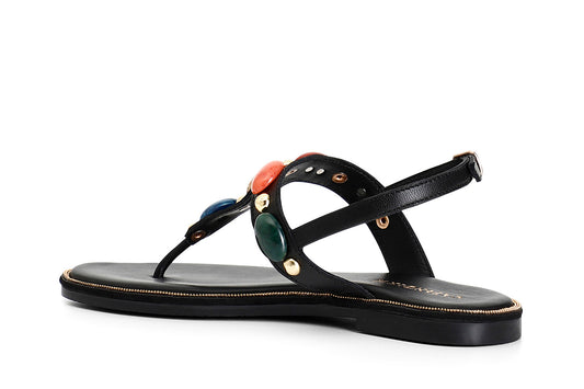 gid://shopify/Product/16121930416460_2