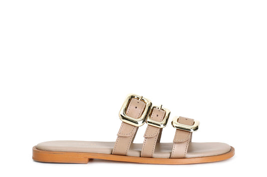 gid://shopify/Product/16121931104588_58873759826252
