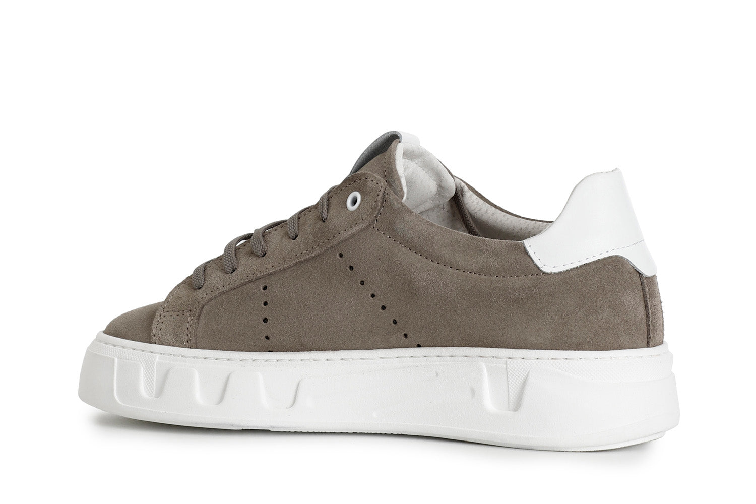 gid://shopify/Product/15783048184140_2