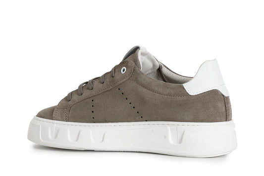 gid://shopify/Product/15783048184140_2