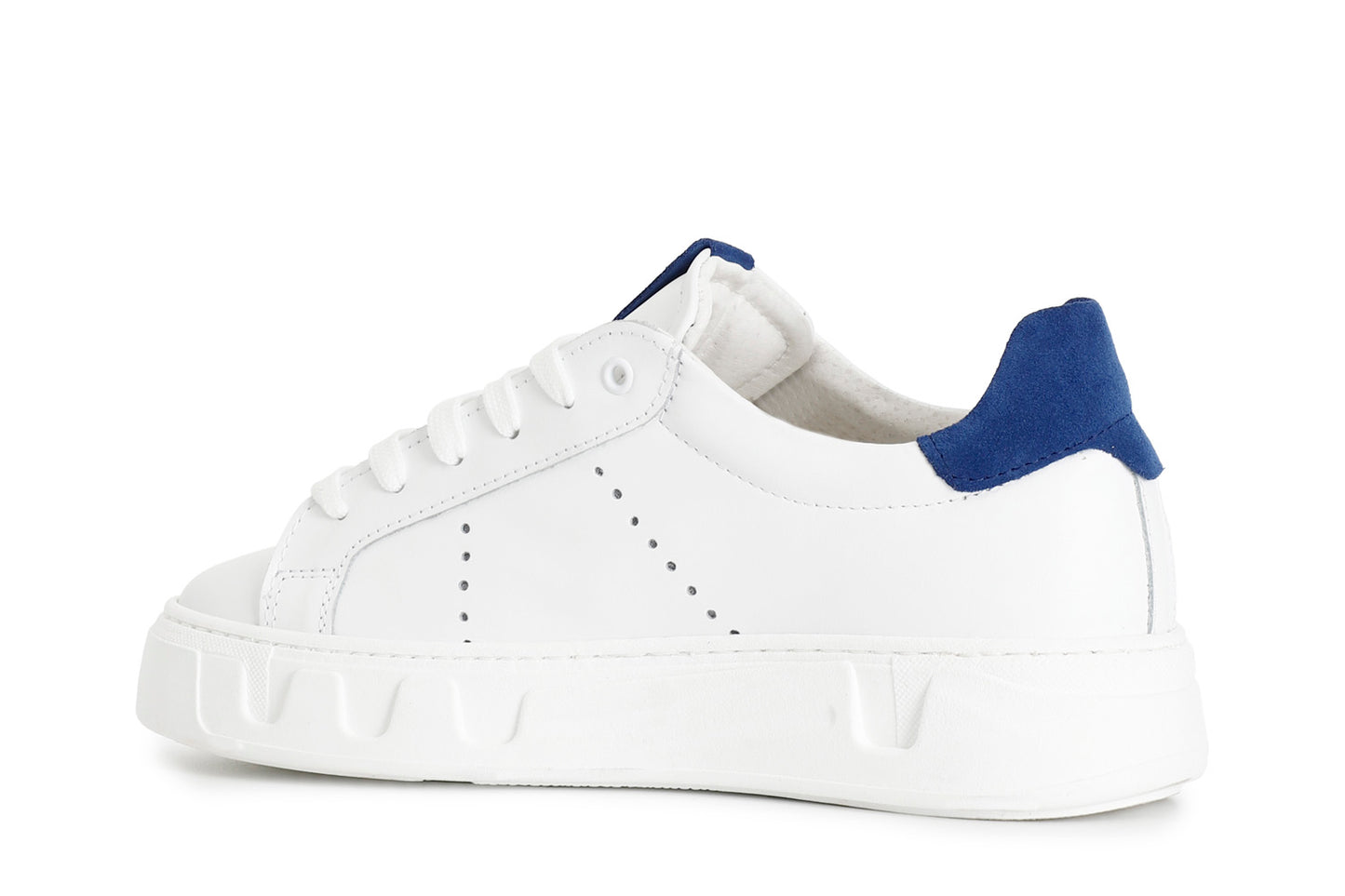 gid://shopify/Product/15783048216908_2