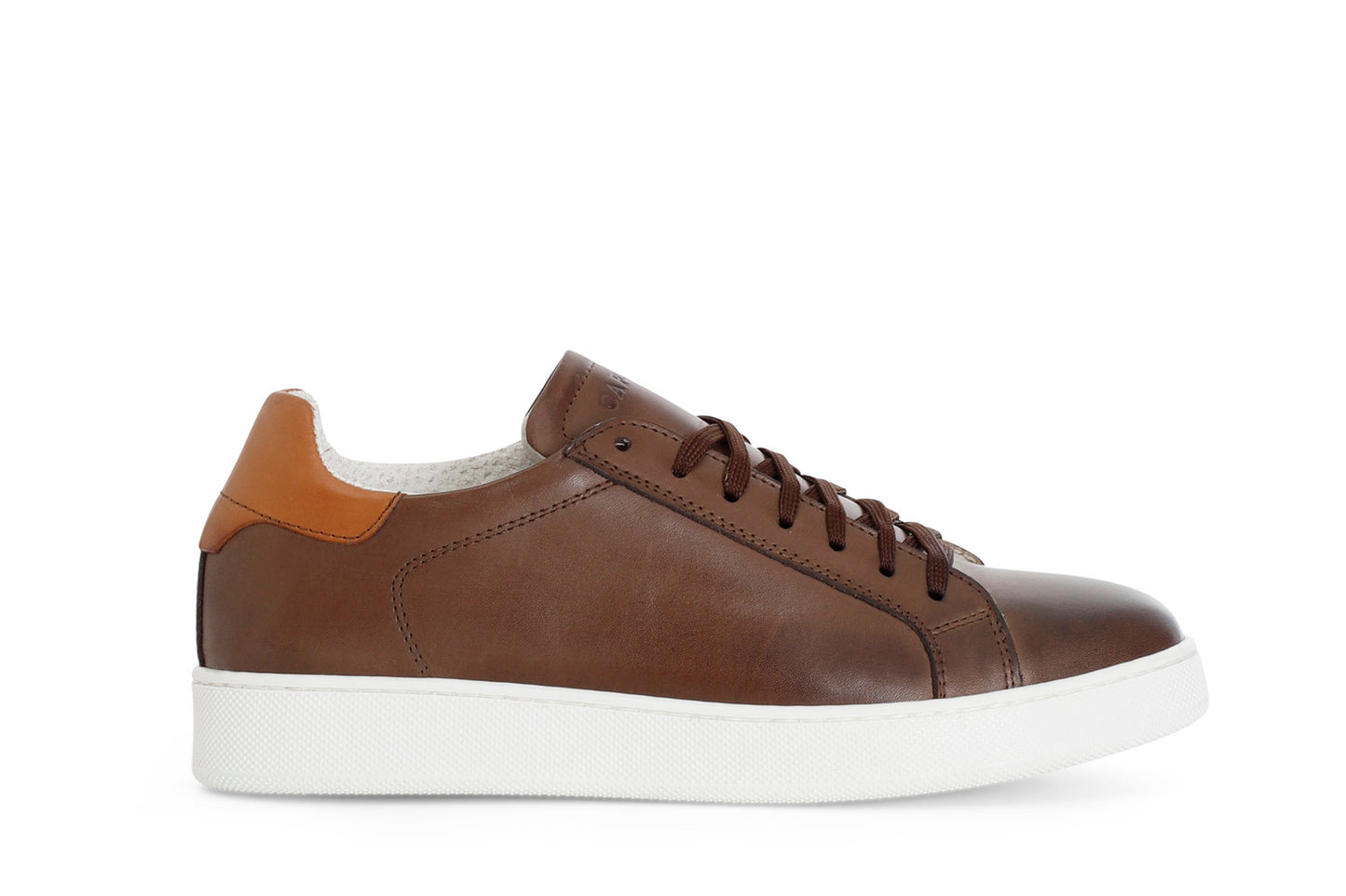 gid://shopify/Product/15782826180940_57660490318156
