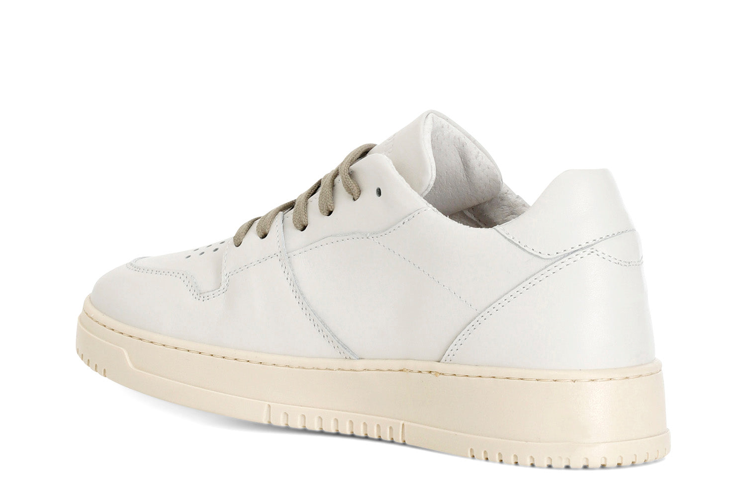gid://shopify/Product/15782827000140_2