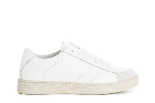 gid://shopify/Product/16035538534732_58579489325388