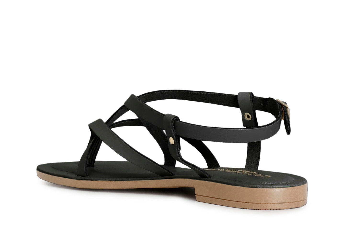 gid://shopify/Product/15783048839500_2