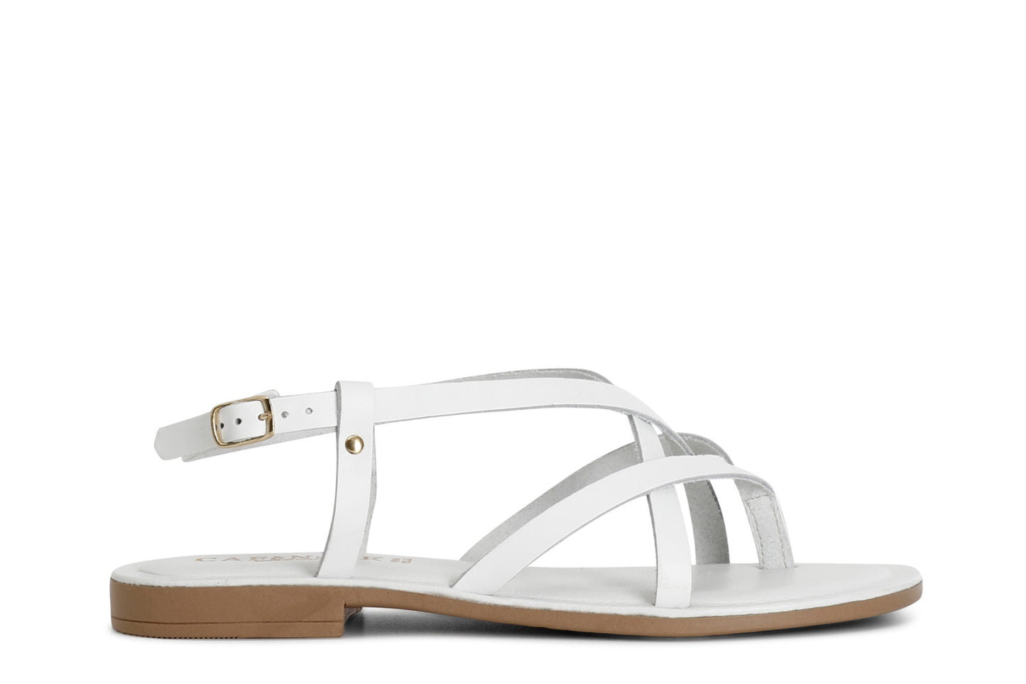gid://shopify/Product/15783048839500_57662048239948
