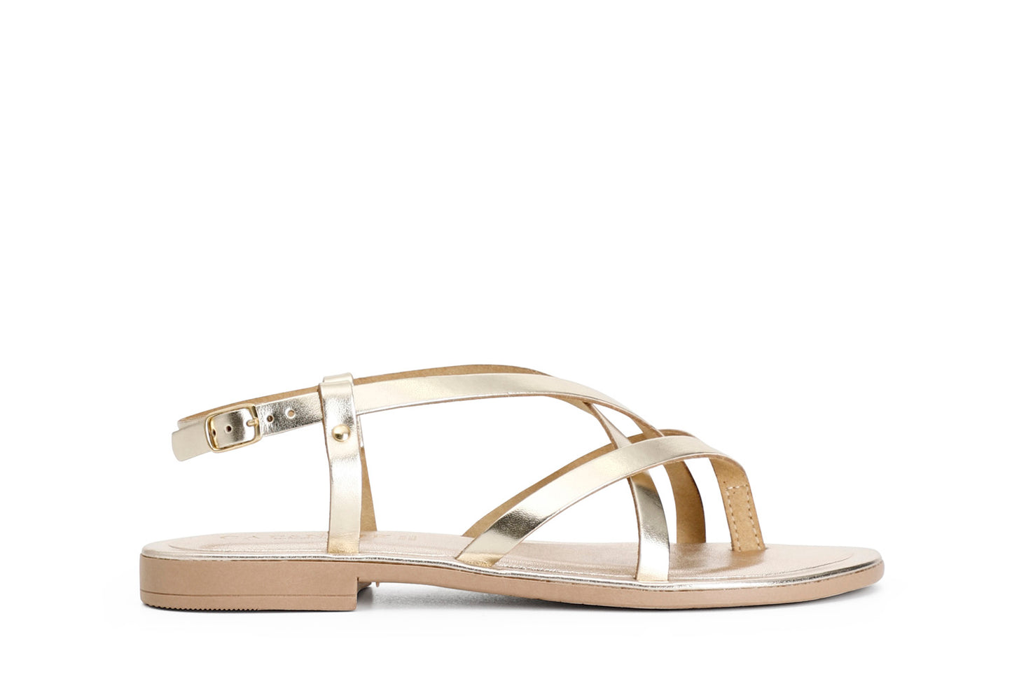 gid://shopify/Product/15783048839500_57662048436556