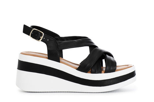 gid://shopify/Product/15783049199948_57662054170956