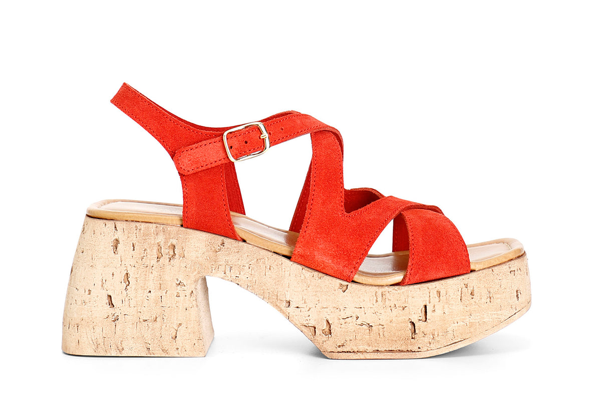 gid://shopify/Product/16121933660492_58873778864460