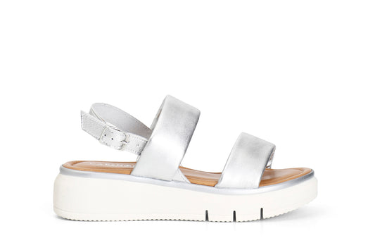 gid://shopify/Product/16121934774604_58873786302796