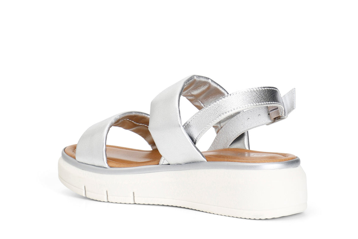 gid://shopify/Product/16121934774604_2