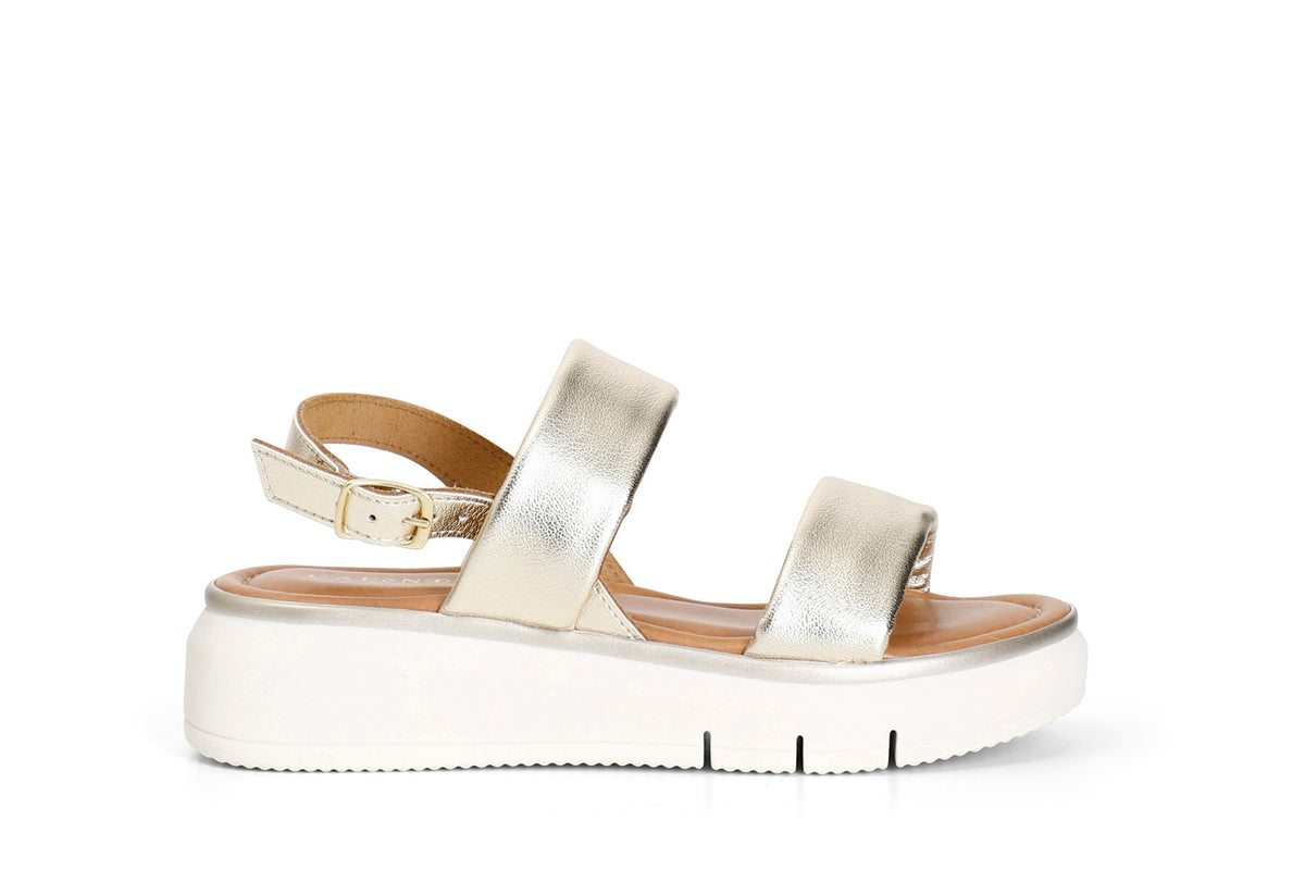 gid://shopify/Product/16121934774604_58873789579596
