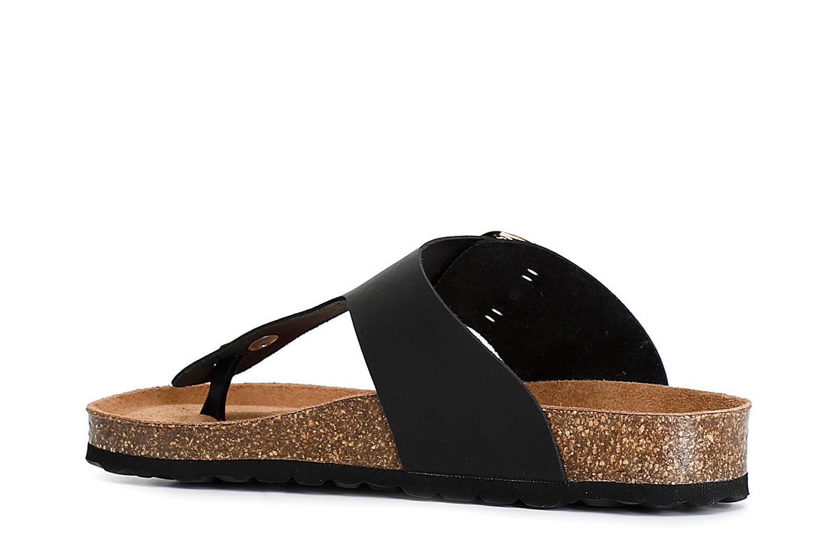 gid://shopify/Product/15783050412364_2