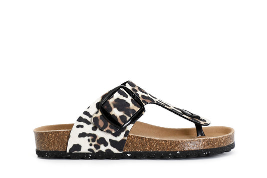 gid://shopify/Product/15783050838348_57662070489420