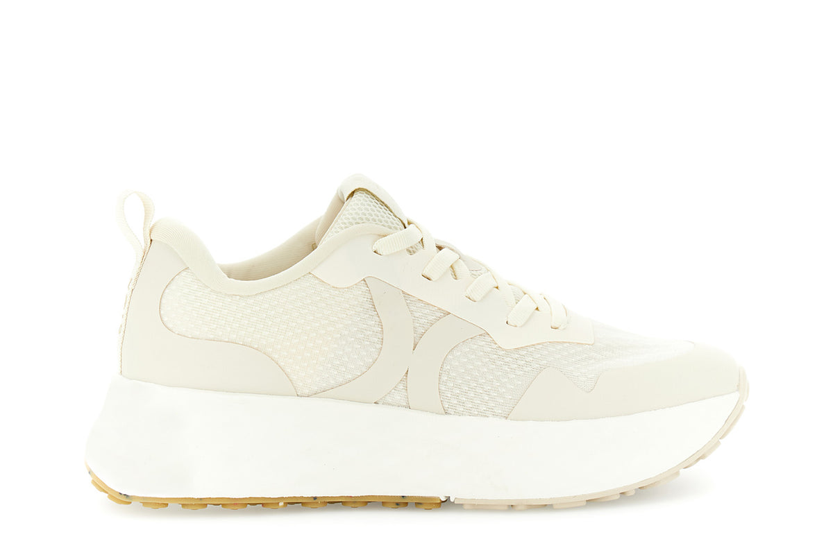 gid://shopify/Product/16122403848524_1
