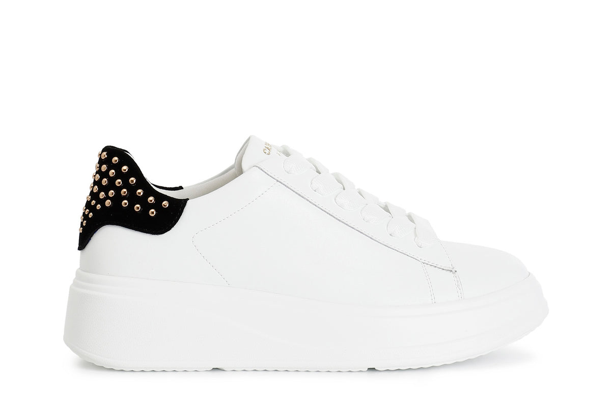 gid://shopify/Product/16121945424204_58873867567436