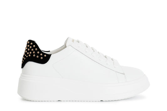 gid://shopify/Product/16121945424204_58873867567436
