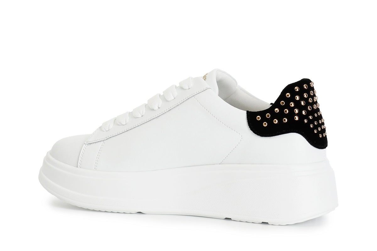 gid://shopify/Product/16121945424204_2