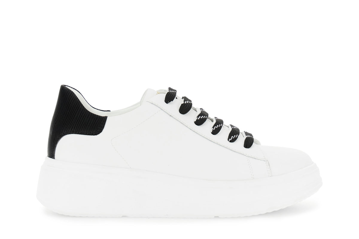 gid://shopify/Product/16122174144844_58874732347724
