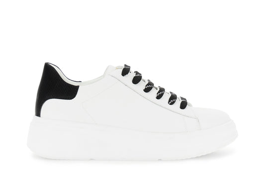 gid://shopify/Product/16122174144844_58874732347724