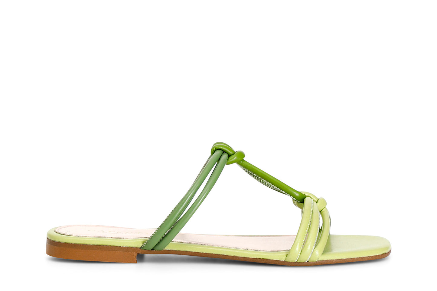 gid://shopify/Product/15782846103884_1