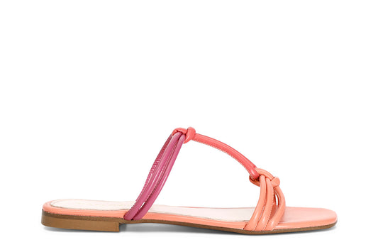 gid://shopify/Product/15782846103884_57660547662156