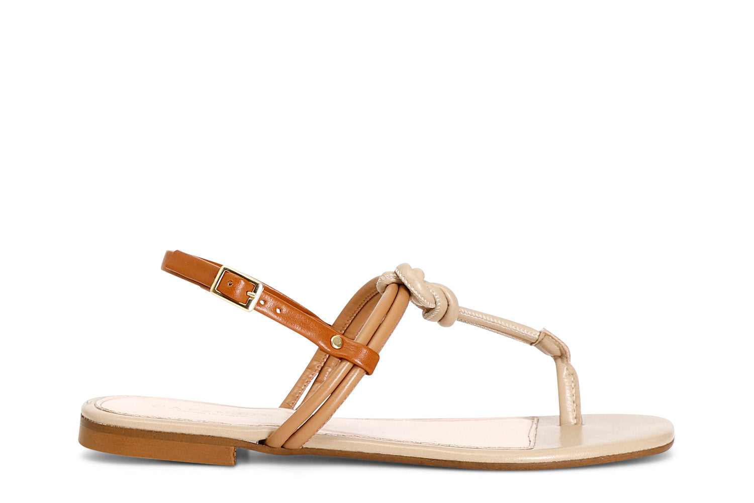 gid://shopify/Product/15782846660940_57660548481356