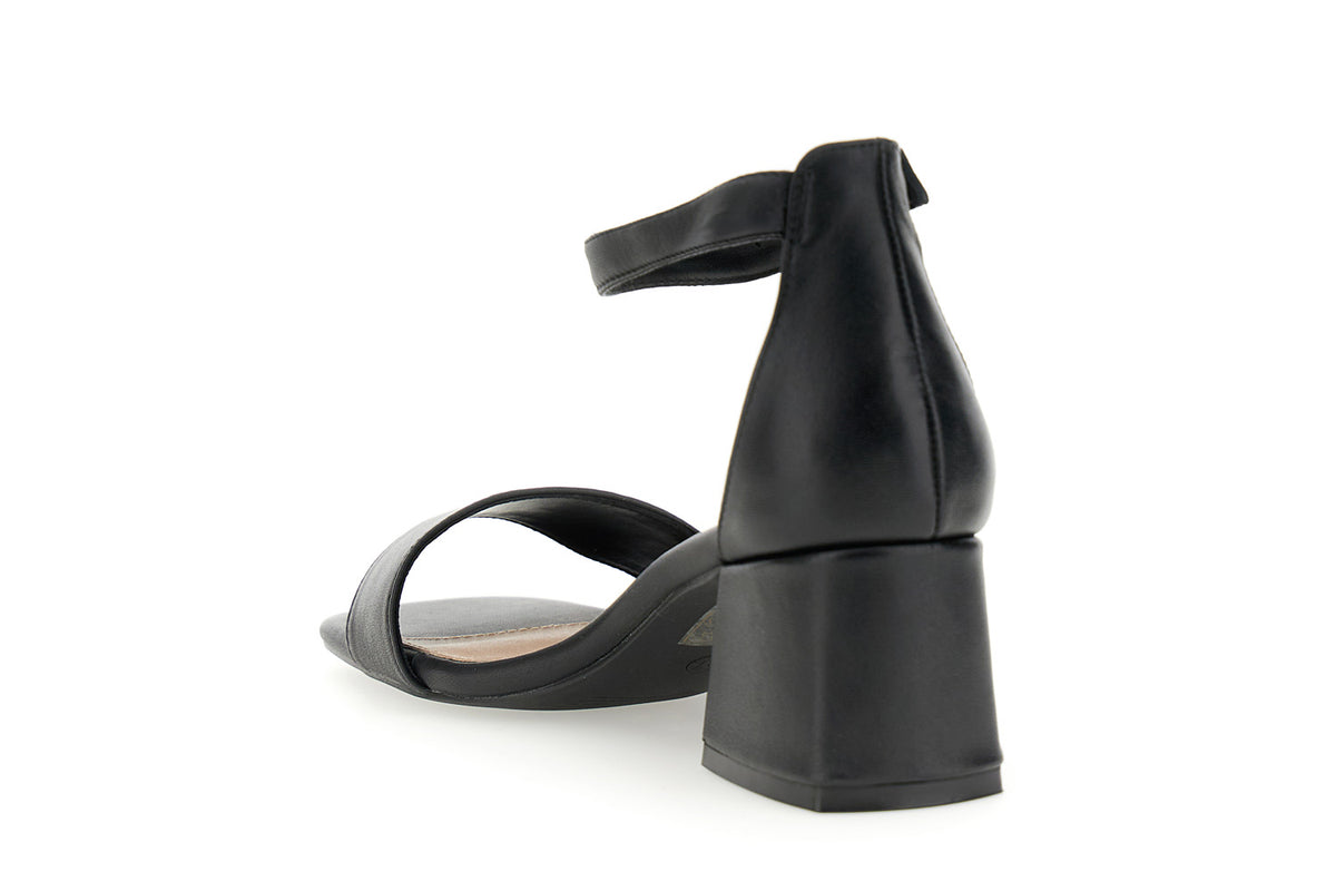 gid://shopify/Product/16122406502732_2