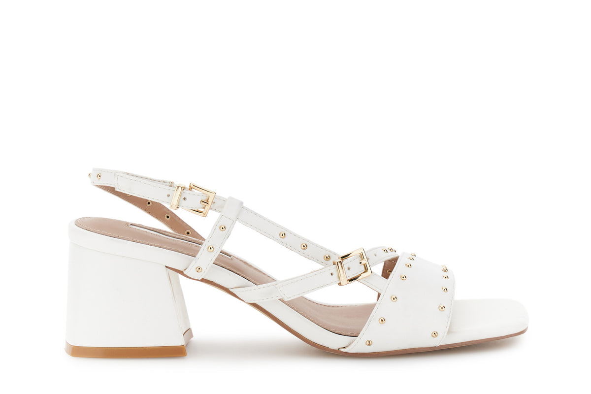 gid://shopify/Product/16122407747916_58876580364620