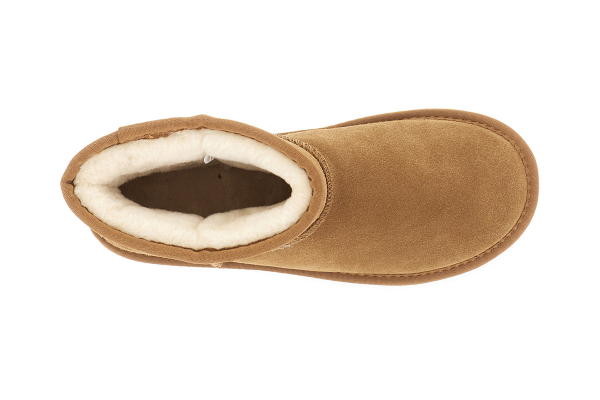 gid://shopify/Product/16122190037324_3