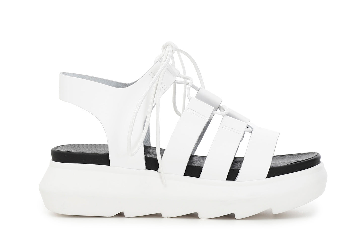 gid://shopify/Product/15782679183692_57659177533772