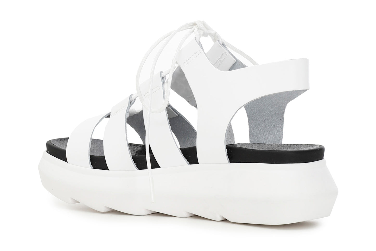 gid://shopify/Product/15782679183692_2