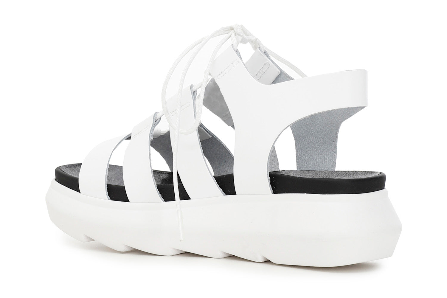 gid://shopify/Product/15782679183692_2