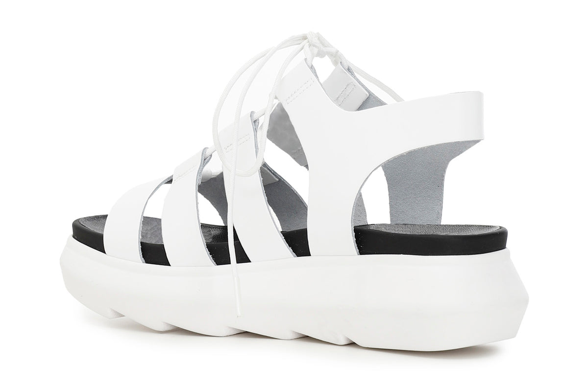gid://shopify/Product/15782679183692_2