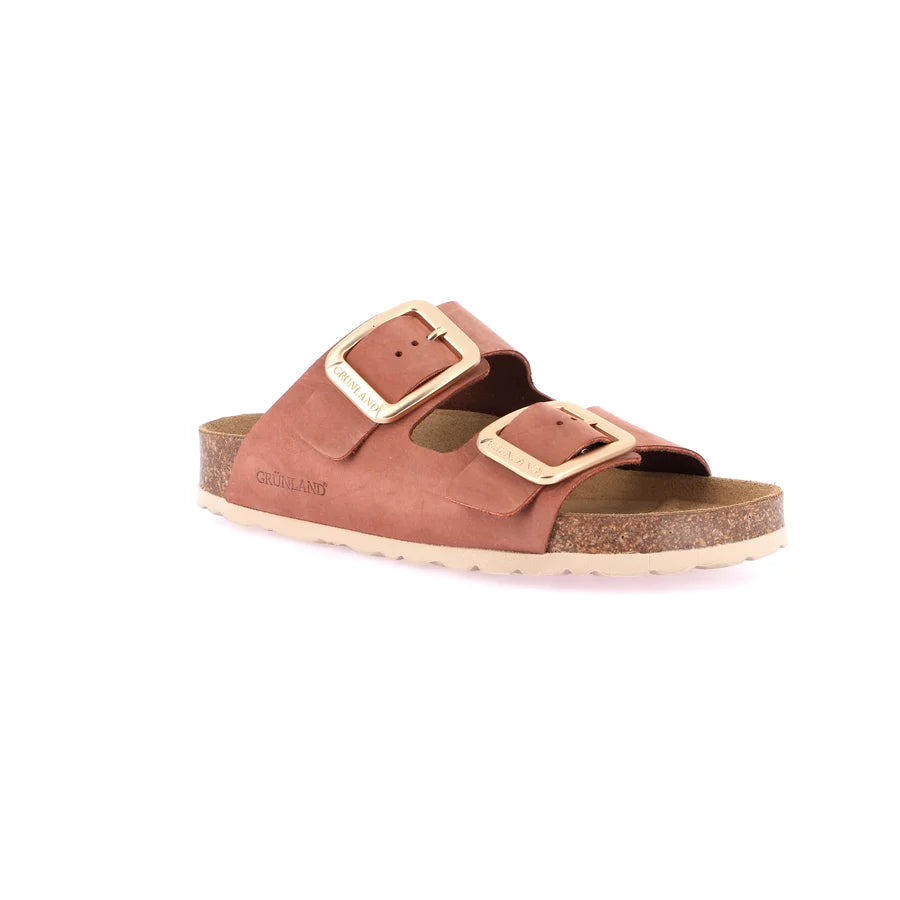 gid://shopify/Product/15754232201548_57519257256268