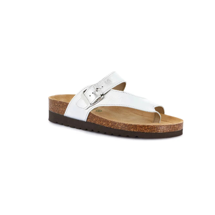gid://shopify/Product/15711137268044_57333952545100