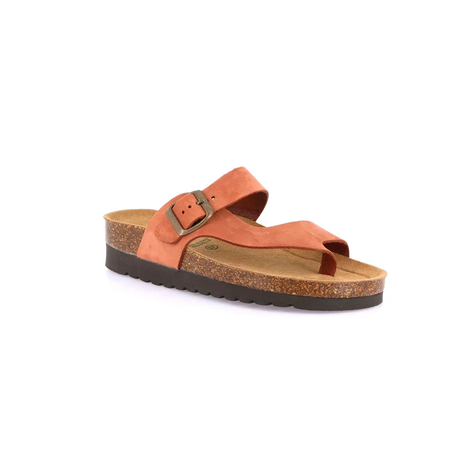gid://shopify/Product/15752780906828_57515262378316