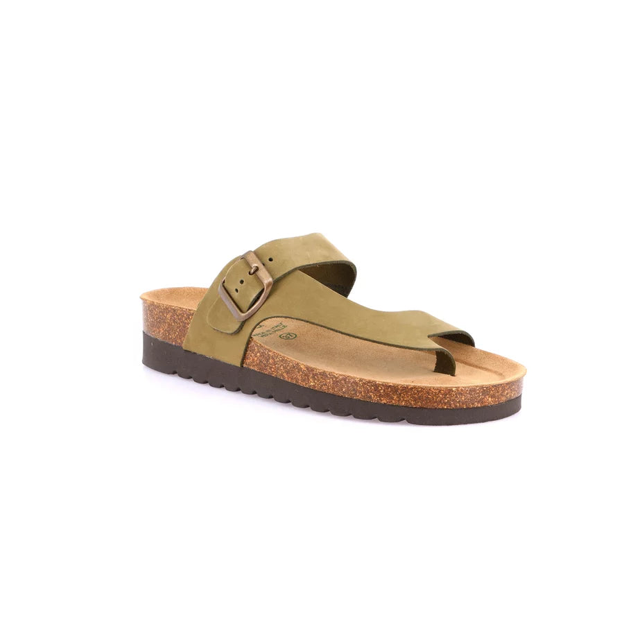 gid://shopify/Product/15752780906828_57515263164748